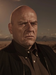 Hank Schrader in Breaking Bad