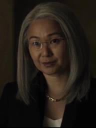 Diane Farr in The Night Agent