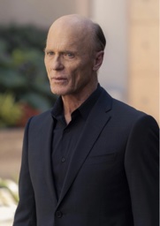 William in Westworld